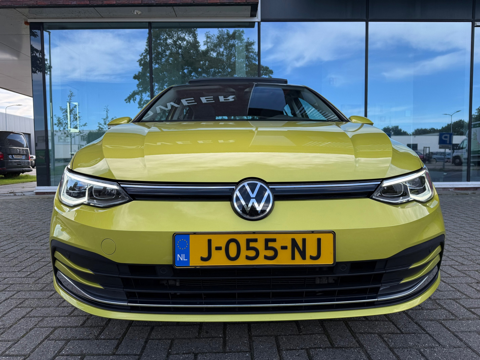 47770555-6.jpg