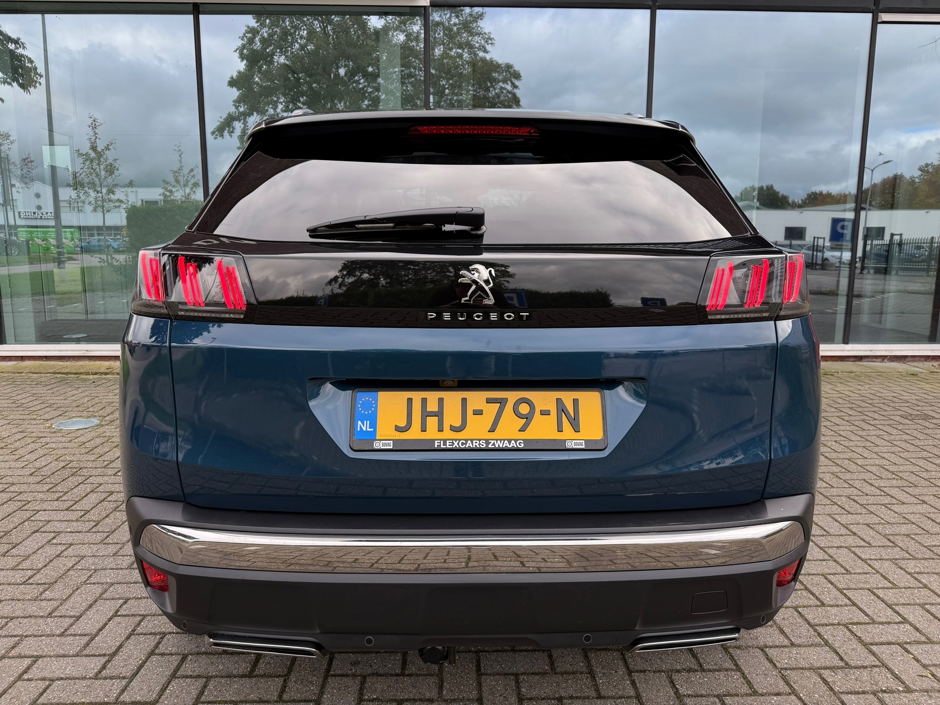 48374077-15.jpg