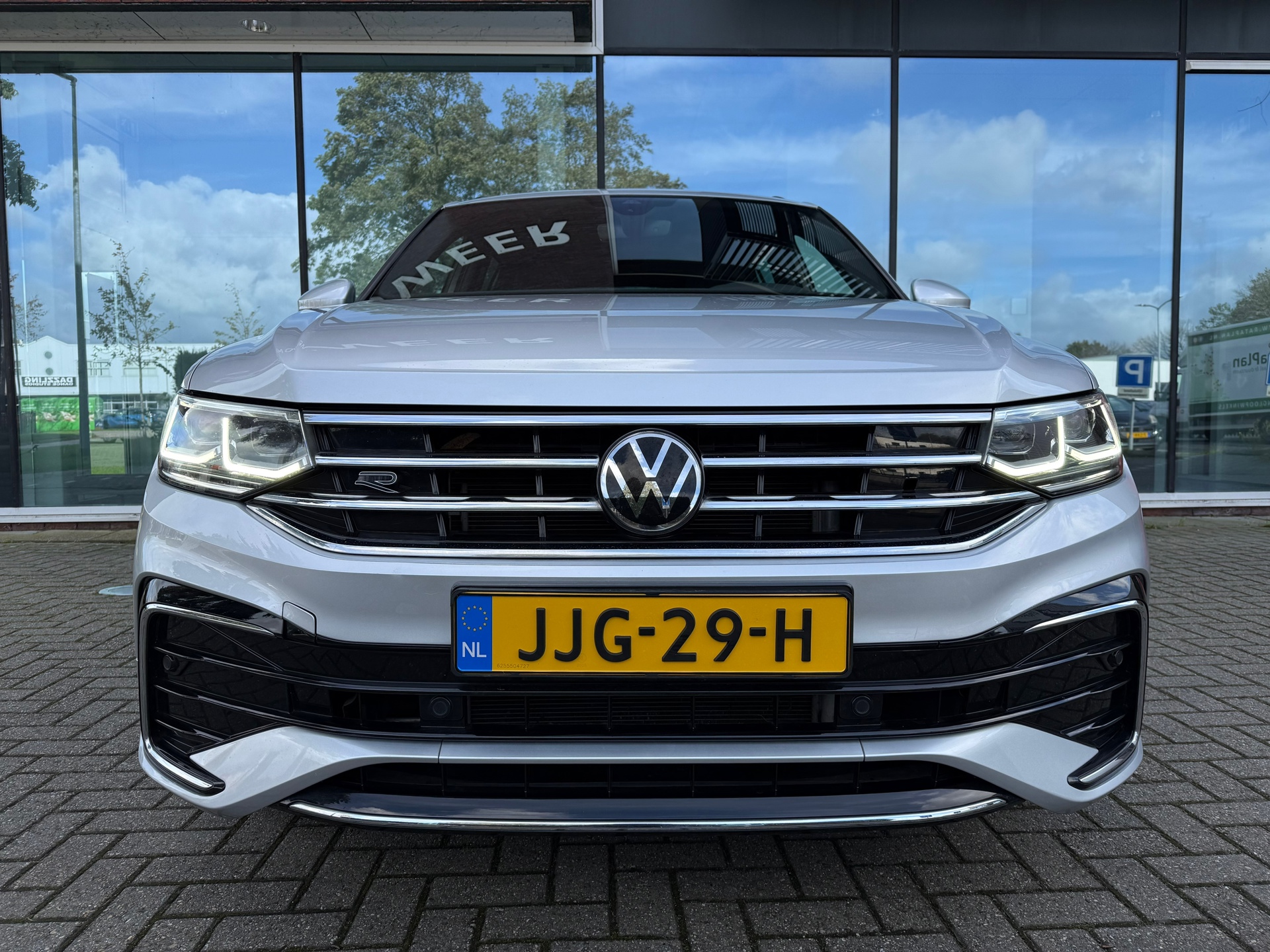 48648060-6.jpg