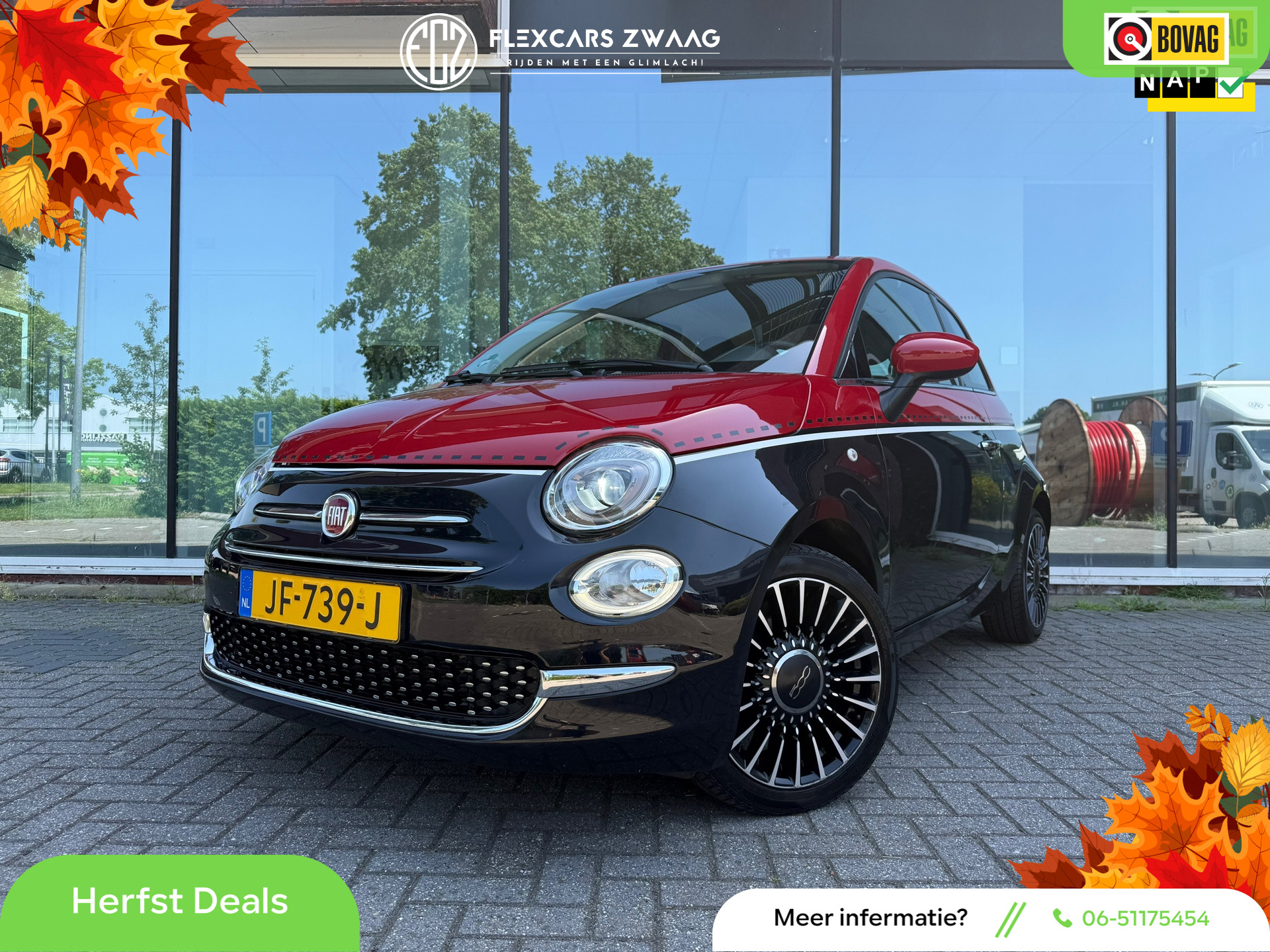 54265103